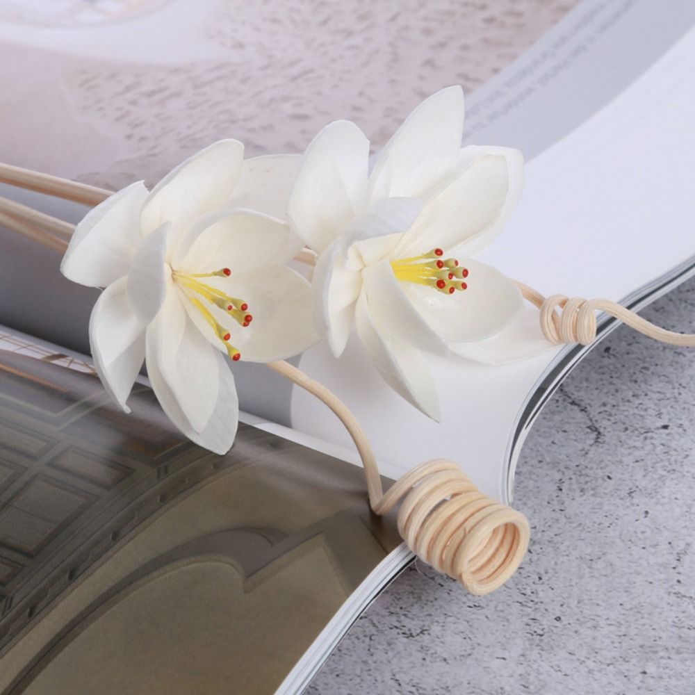 Home Fragrance Incense Sticks - Bâtonnets diffuseurs d'encens Tongcao multi-usages de
